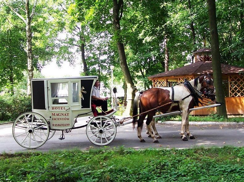 Willa Park Ostrowiec Świętokrzyski Exteriör bild